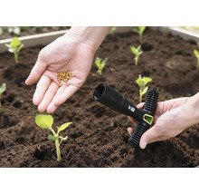 O mână ține semințe deasupra unui strat de flori, cealaltă mână ține un plantator.