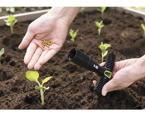 O mână ține semințe deasupra unui strat de flori, cealaltă mână ține un plantator.