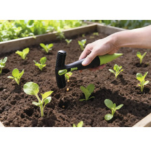 Scenă de grădină cu instrument de plantare a semințelor în uz într-o grădină înălțată cu plante tinere.