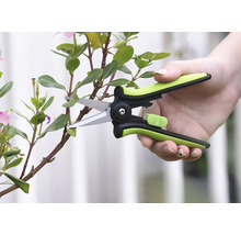 Foarfece de grădină care taie o tulpină de plantă