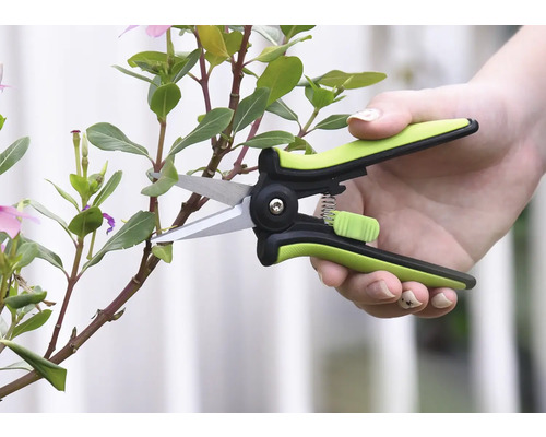 Foarfece de grădină care taie o tulpină de plantă