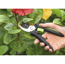 Foarfece de grădină în uz pe o plantă