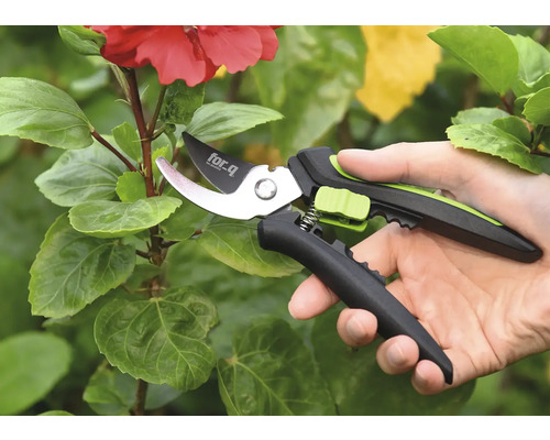 Foarfece de grădină în uz pe o plantă