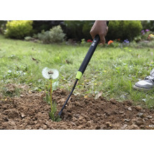 Prim-plan cu o persoană care îndepărtează un păpădie din pământ cu un dispozitiv de scos buruieni