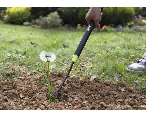 Prim-plan cu o persoană care îndepărtează un păpădie din pământ cu un dispozitiv de scos buruieni