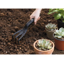 Scenă de grădinărit cu mână, greblă mică și plante suculente în ghivece