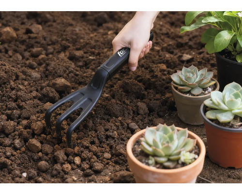 Scenă de grădinărit cu mână, greblă mică și plante suculente în ghivece