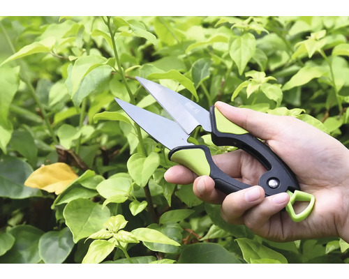 Mână cu foarfece de grădinărit în fața plantelor verzi