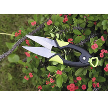 Foarfecă de flori pentru tăierea plantelor