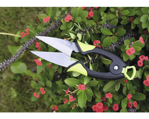 Foarfecă de flori pentru tăierea plantelor