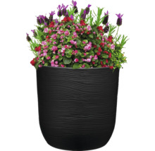 Aranjament floral în vas de plantare negru