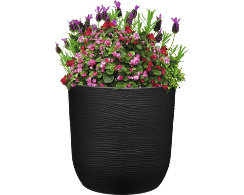 Aranjament floral în vas de plantare negru