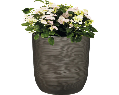 Hortensie în jardinieră texturată