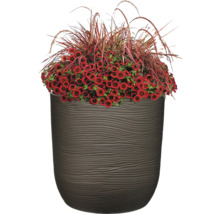 Ghiveci cu flori roșii și iarbă ornamentală