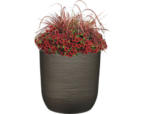 Ghiveci cu flori roșii și iarbă ornamentală