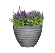 Ghiveci cu plantă cu flori mov