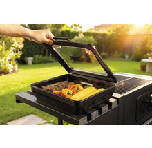 Cutie grătar cu friptură, ardei grași și porumb pe grătar în grădină