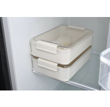 Două recipiente dreptunghiulare de depozitare cu capace transparente în frigider