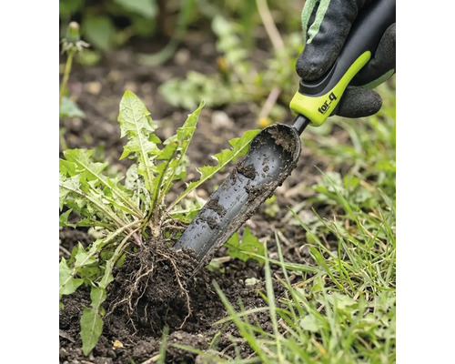 Dispozitiv de îndepărtare a buruienilor folosit pentru îndepărtarea păpădiilor