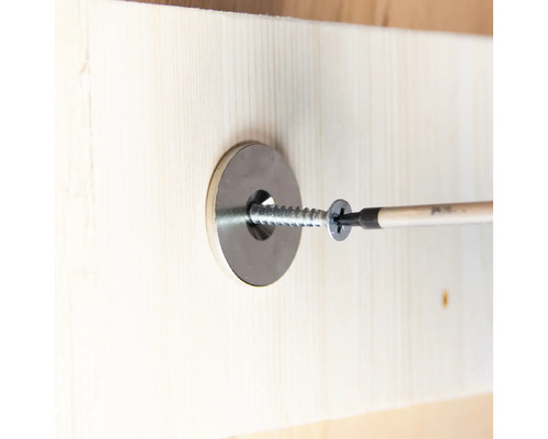 Șurub cu șaibă înșurubat în lemn