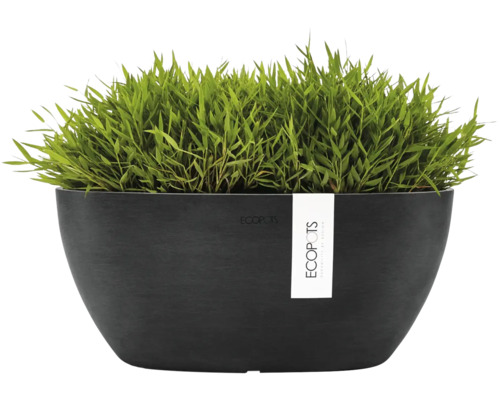 Vas de plantare ECOPOTS oval negru cu plantă verde.
