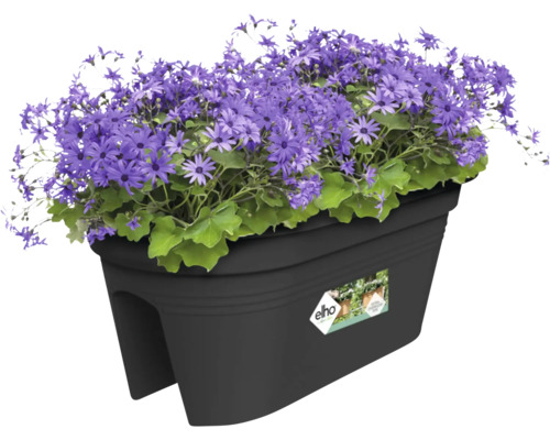 Jardinieră elho Green Basics Flower Bridge plastic | HORNBACH