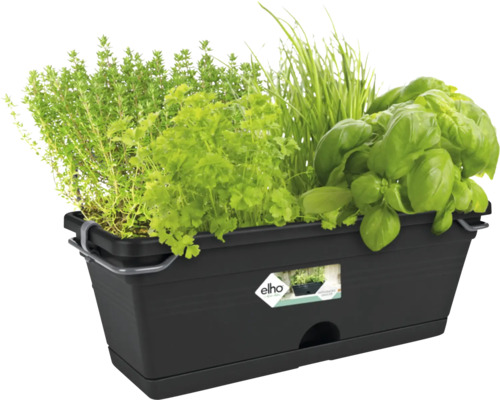 Jardinieră neagră cu diverse ierburi