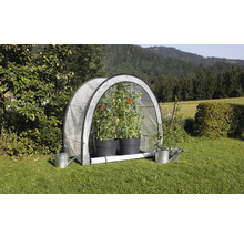 Cort de roșii cu plante de roșii și stropitori în grădină