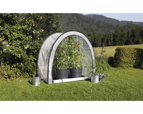 Cort de roșii cu plante de roșii și stropitori în grădină