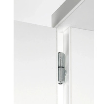 Ușă cu balama metalică