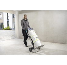 Femeie transportă găleți de vopsea cu un cărucior.