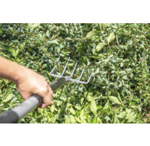 O persoană adună frunze cu o greblă metalică.