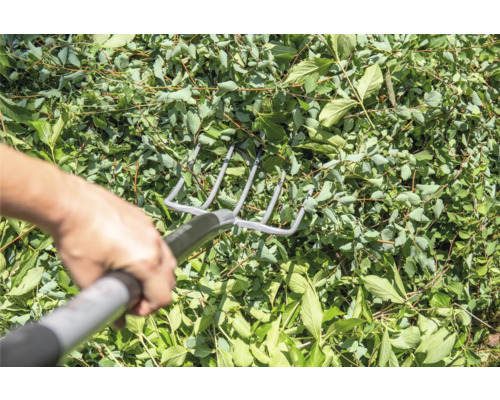 O persoană adună frunze cu o greblă metalică.