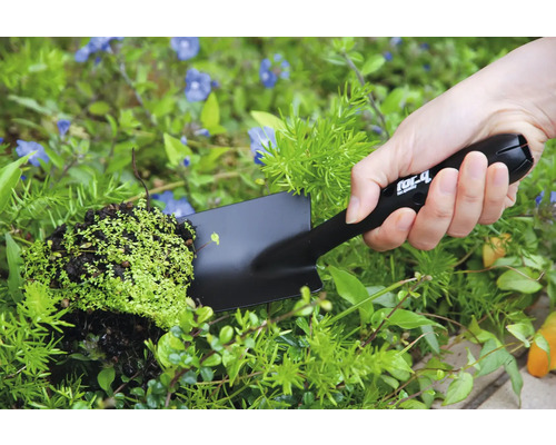 Persoană ține o mistrie de mână cu o plantă în grădină.