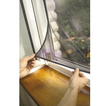 Persoană care fixează o plasă de insecte pe o fereastră.