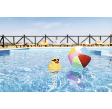 Scenă cu o rață galbenă de cauciuc cu ochelari de soare și o minge colorată într-o piscină