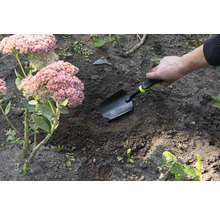 Scenă de grădină cu o mână care înfige o lopată de plantare în pământ