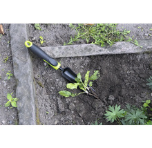 Scenă de grădină cu un dispozitiv de scos buruieni pentru îndepărtarea buruienilor