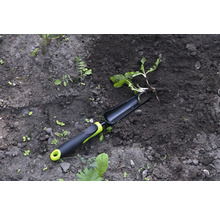 Unealtă de grădinărit și plantă în pământ de grădină