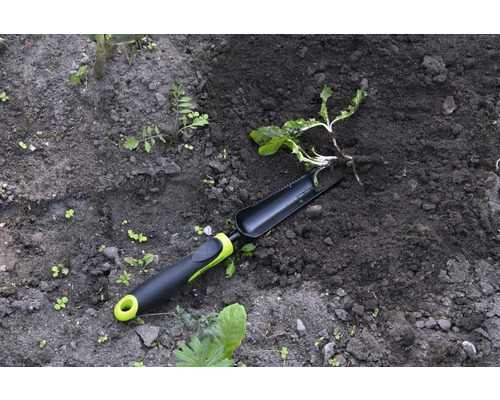 Unealtă de grădinărit și plantă în pământ de grădină