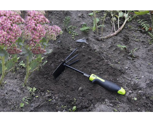 Unealtă de grădinărit cu greblă și sapă în grădină lângă o plantă