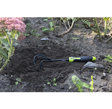 Grapă de grădină în pământ lângă o floare