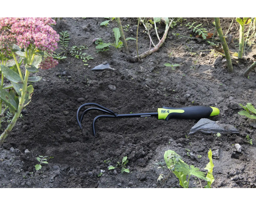 Grapă de grădină în pământ lângă o floare