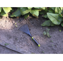 Greblă de grădină pe sol de grădină cu plante