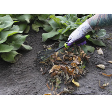 O persoană cu mănuși de grădină folosește o greblă evantai pentru a îndepărta frunzele.