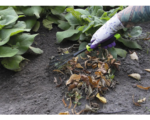 O persoană cu mănuși de grădină folosește o greblă evantai pentru a îndepărta frunzele.