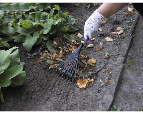 O persoană adună frunzele cu o greblă de frunze în grădină.