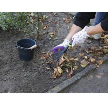 Scenă de grădinărit cu greblă de frunze, mănuși de grădinărit și găleată pentru adunarea frunzelor