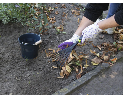 Scenă de grădinărit cu greblă de frunze, mănuși de grădinărit și găleată pentru adunarea frunzelor