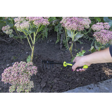 O mână ține o greblă pentru grădinărit lângă plante.